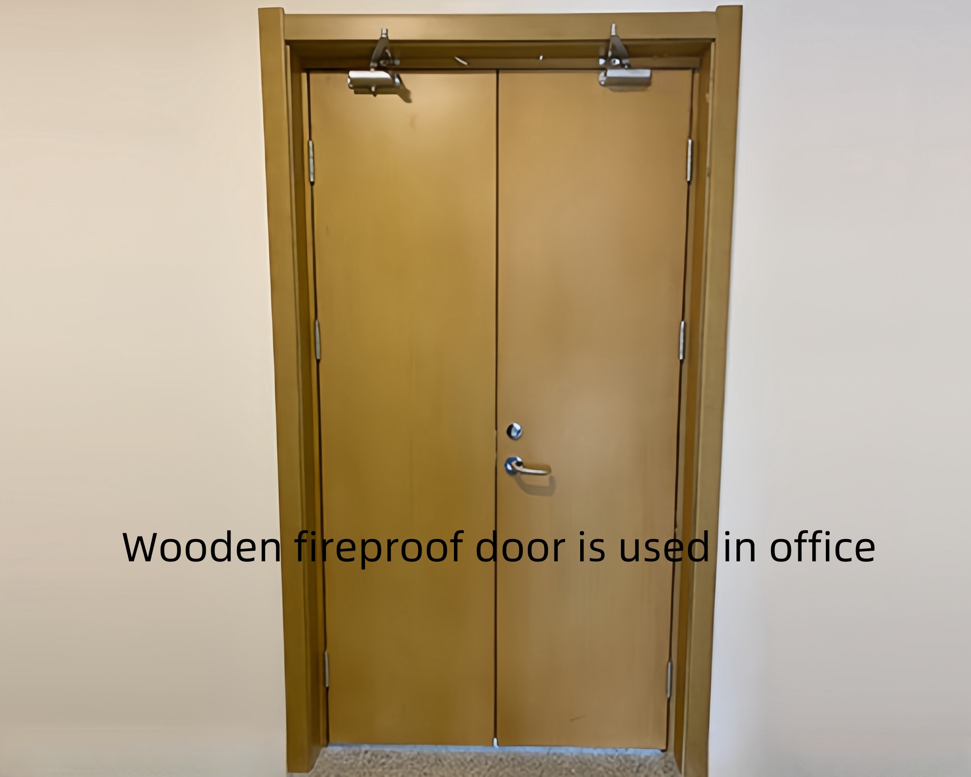 Wooden Fireproof Door
