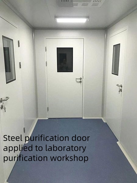 Medical Purification Door