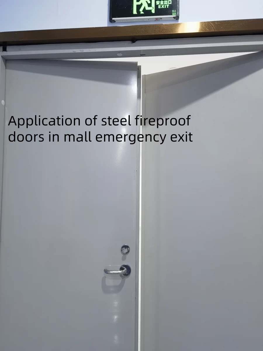 Steel Fire Rated Door
