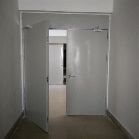 Steel Fire Resistant Door