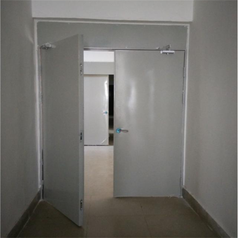 Steel Fire Resistant Door