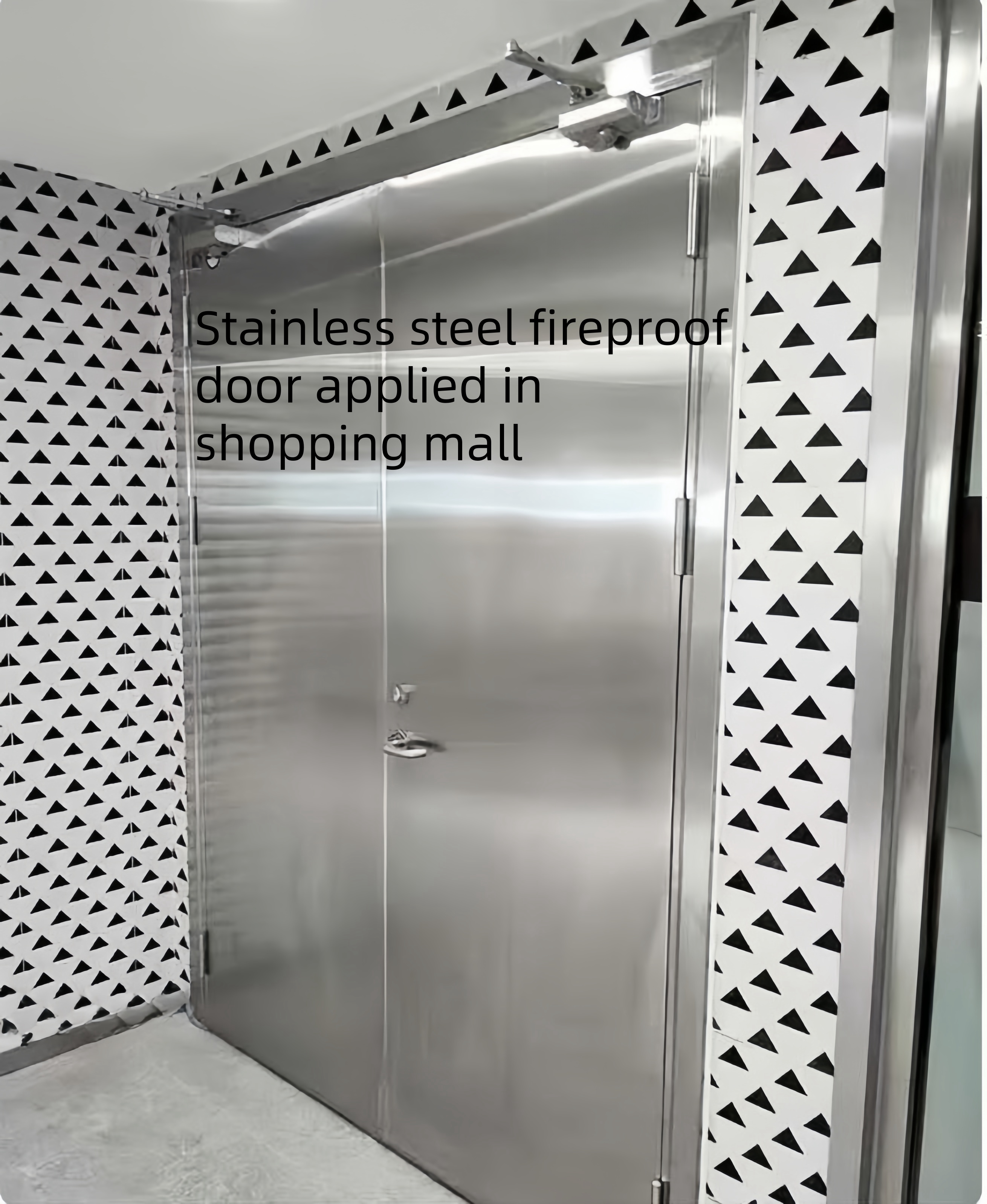 Stainless Steel Fire Door