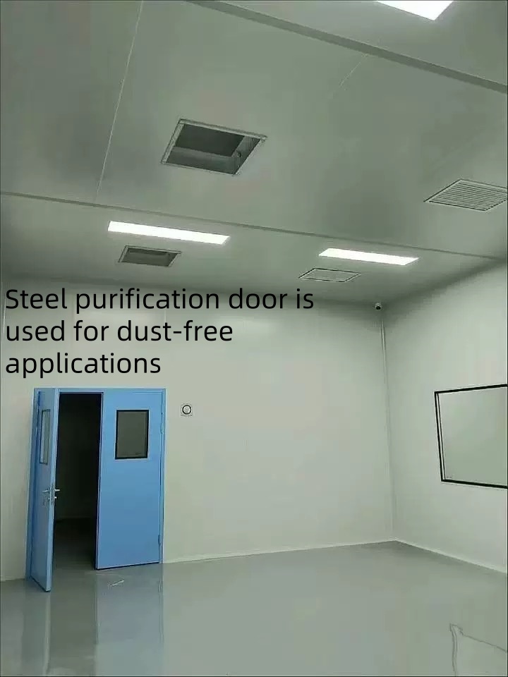 Medical Purification Door